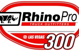 Rhino Pro Truck Outfitters 300